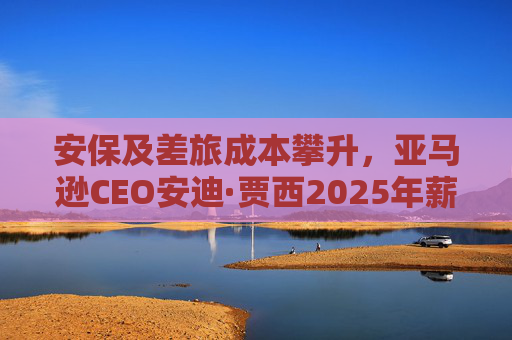 安保及差旅成本攀升，亚马逊CEO安迪·贾西2025年薪酬涨至210万美元