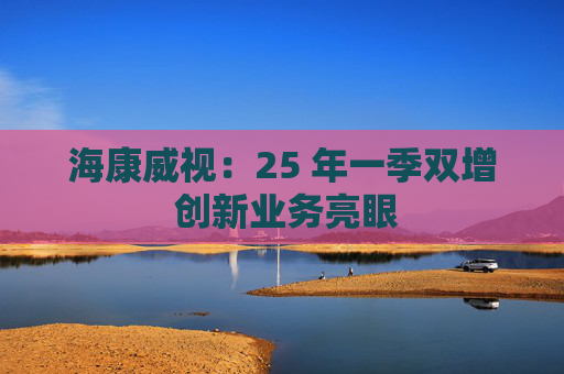 海康威视：25 年一季双增 创新业务亮眼