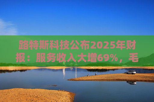 路特斯科技公布2025年财报：服务收入大增69%，毛利率显著提升至9%