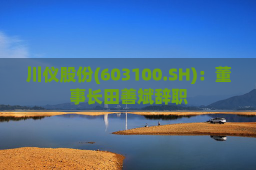 川仪股份(603100.SH)：董事长田善斌辞职