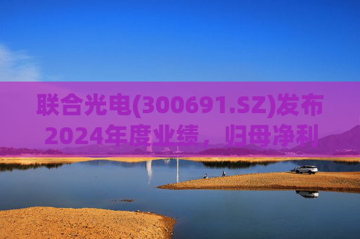 联合光电(300691.SZ)发布2024年度业绩，归母净利润3856.29万元，同比下降40.02%