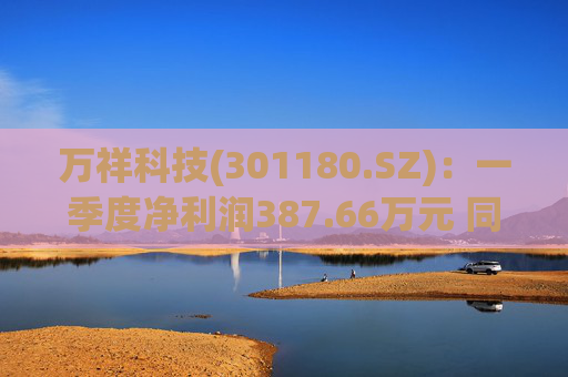 万祥科技(301180.SZ)：一季度净利润387.66万元 同比增加2125.47%  第1张