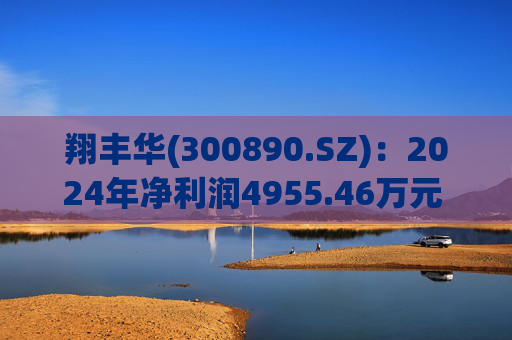 翔丰华(300890.SZ)：2024年净利润4955.46万元 同比下降40.23%  第1张