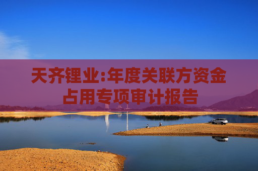 天齐锂业:年度关联方资金占用专项审计报告