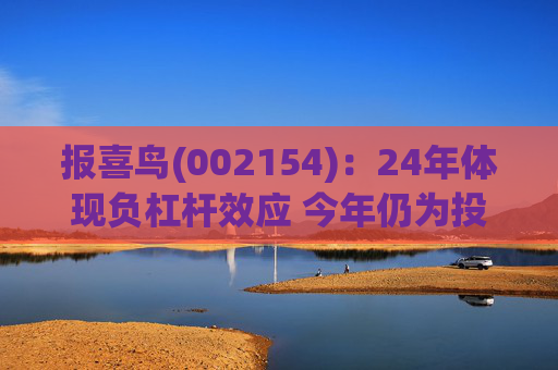 报喜鸟(002154)：24年体现负杠杆效应 今年仍为投入年