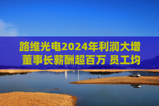 路维光电2024年利润大增 董事长薪酬超百万 员工均薪亦涨
