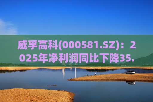 威孚高科(000581.SZ)：2025年净利润同比下降35.63% 拟10股派7元