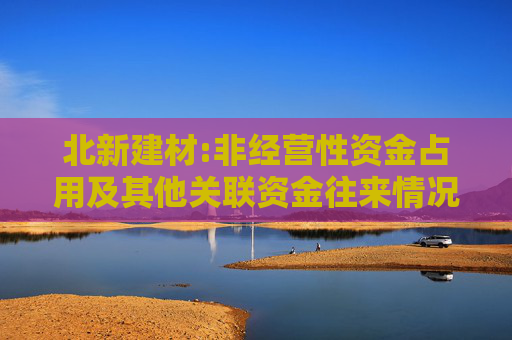 北新建材:非经营性资金占用及其他关联资金往来情况汇总表  第1张