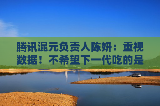 腾讯混元负责人陈妍：重视数据！不希望下一代吃的是大模型吐出来的垃圾