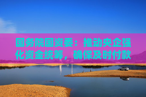 国务院国资委：推动央企强化资金统筹，确保及时付款