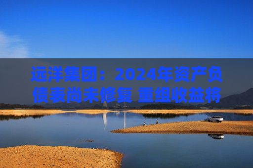 远洋集团：2024年资产负债表尚未修复 重组收益将于2025年释放