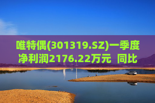 唯特偶(301319.SZ)一季度净利润2176.22万元  同比增长0.70% 第1张