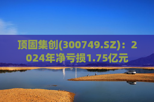 顶固集创(300749.SZ)：2024年净亏损1.75亿元