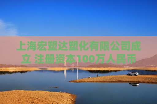 上海宏塑达塑化有限公司成立 注册资本100万人民币