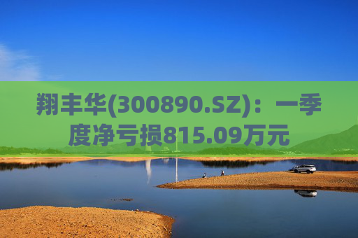 翔丰华(300890.SZ)：一季度净亏损815.09万元  第1张