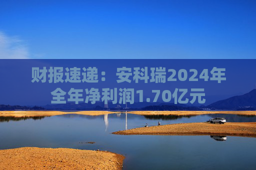 财报速递：安科瑞2024年全年净利润1.70亿元