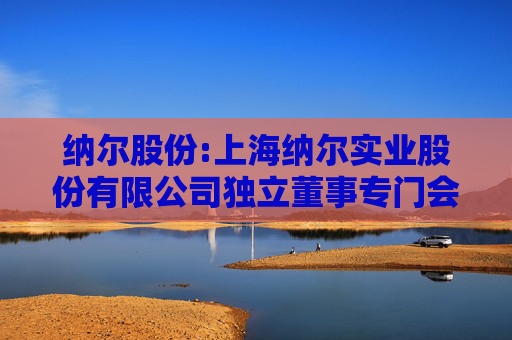 纳尔股份:上海纳尔实业股份有限公司独立董事专门会议2025年第一次会议决议  第1张