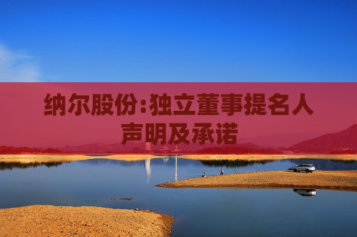纳尔股份:独立董事提名人声明及承诺