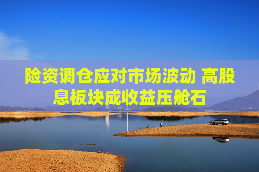 险资调仓应对市场波动 高股息板块成收益压舱石