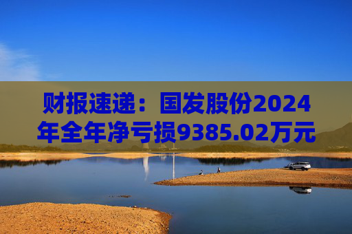 财报速递：国发股份2024年全年净亏损9385.02万元  第1张