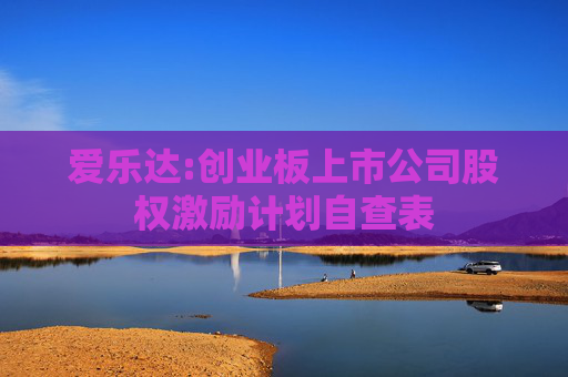 爱乐达:创业板上市公司股权激励计划自查表