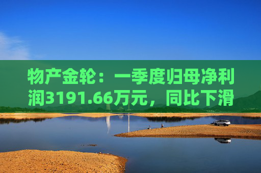 物产金轮：一季度归母净利润3191.66万元，同比下滑7.43%