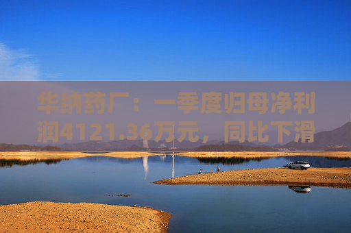 华纳药厂：一季度归母净利润4121.36万元，同比下滑31.37%