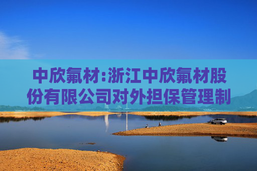 中欣氟材:浙江中欣氟材股份有限公司对外担保管理制度  第1张