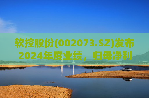 软控股份(002073.SZ)发布2024年度业绩，归母净利润5.06亿元，同比增长51.94%
