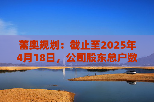 蕾奥规划：截止至2025年4月18日，公司股东总户数12,043户  第1张
