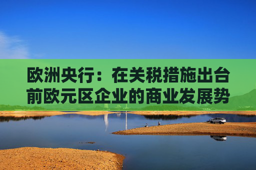 欧洲央行：在关税措施出台前欧元区企业的商业发展势头有所改善  第1张