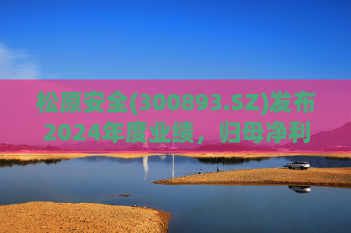 松原安全(300893.SZ)发布2024年度业绩，归母净利润2.6亿元，增长31.65%