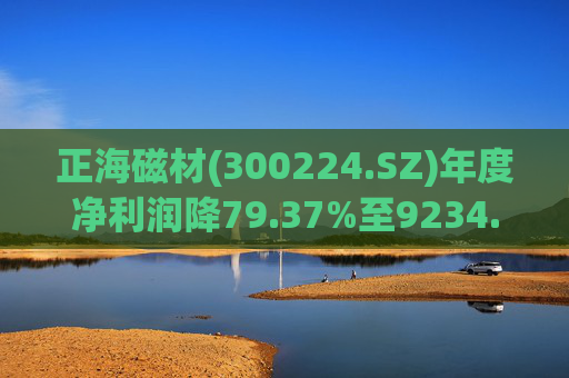 正海磁材(300224.SZ)年度净利润降79.37%至9234.02万元  高性能钕铁硼永磁材料销量实现连续七年增长 第1张