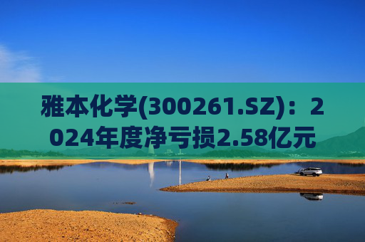 雅本化学(300261.SZ)：2024年度净亏损2.58亿元