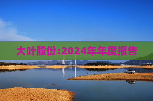 大叶股份:2024年年度报告