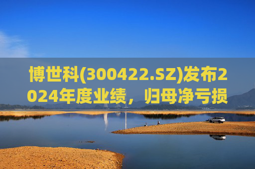 博世科(300422.SZ)发布2024年度业绩，归母净亏损8.65亿元，扩大300.66%  第1张