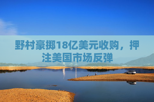 野村豪掷18亿美元收购，押注美国市场反弹