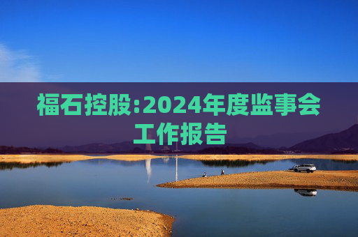 福石控股:2024年度监事会工作报告