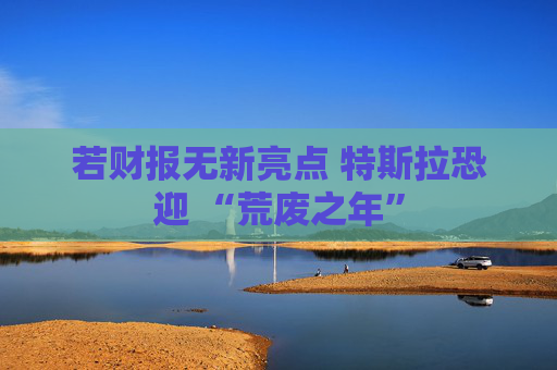 若财报无新亮点 特斯拉恐迎 “荒废之年”