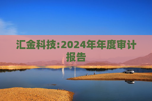 汇金科技:2024年年度审计报告  第1张