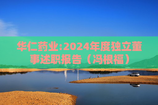 华仁药业:2024年度独立董事述职报告（冯根福）