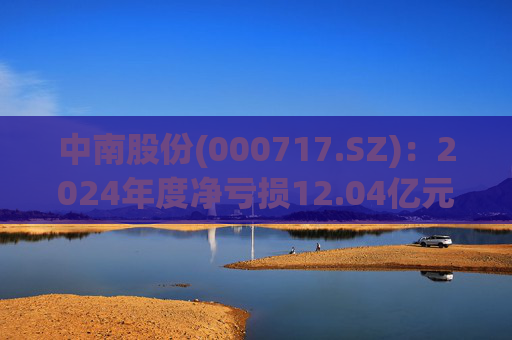 中南股份(000717.SZ)：2024年度净亏损12.04亿元