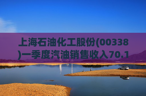 上海石油化工股份(00338)一季度汽油销售收入70.13亿元  第1张