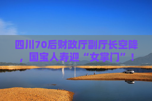 四川70后财政厅副厅长空降，国宝人寿迎“女掌门”！曾任自贡副市长四年  第1张