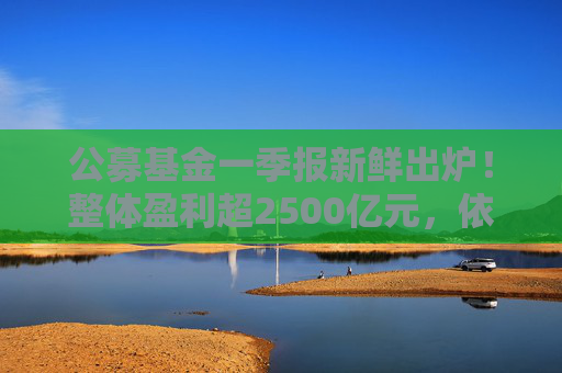 公募基金一季报新鲜出炉！整体盈利超2500亿元，依旧看好科技、大消费