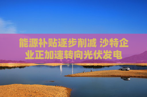 能源补贴逐步削减 沙特企业正加速转向光伏发电  第1张