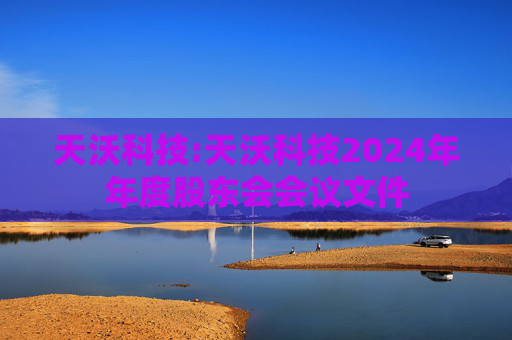 天沃科技:天沃科技2024年年度股东会会议文件