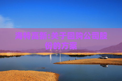 海特高新:关于回购公司股份的方案  第1张