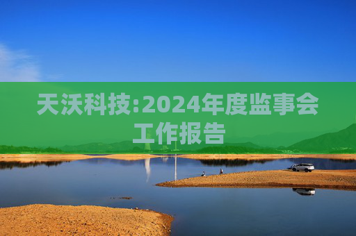 天沃科技:2024年度监事会工作报告  第1张