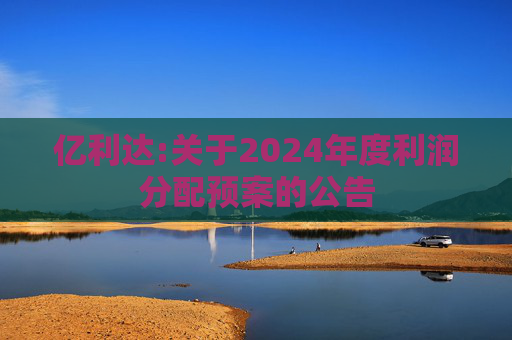亿利达:关于2024年度利润分配预案的公告